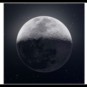 Meet your Posher, Bruce